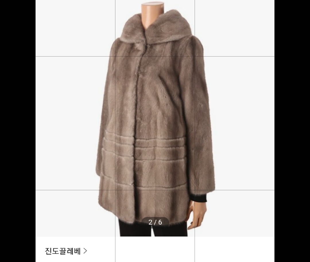 진도모피