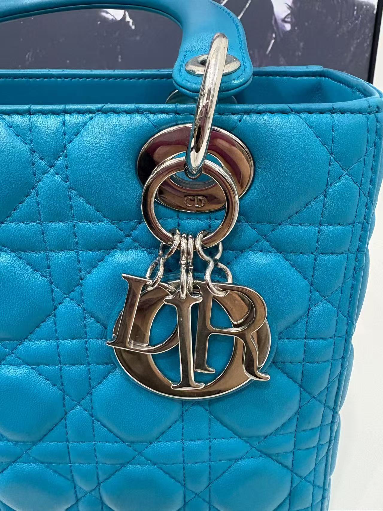 Dior 디올 블루 스웨이드 데이비 핸드백